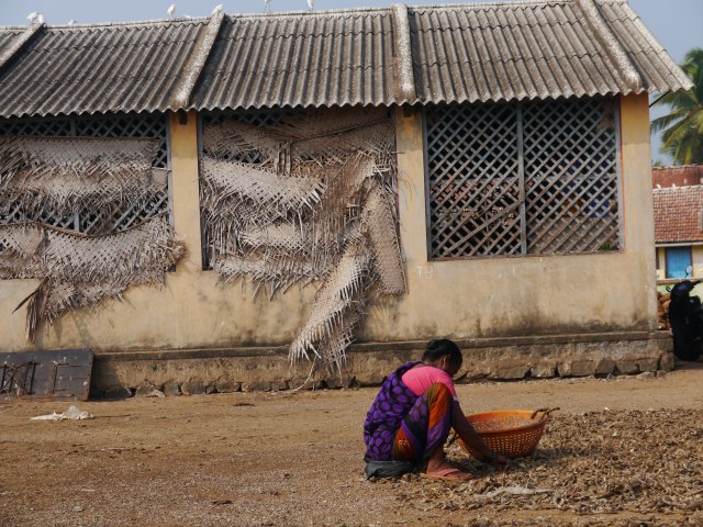 Woman Drying Shellfish